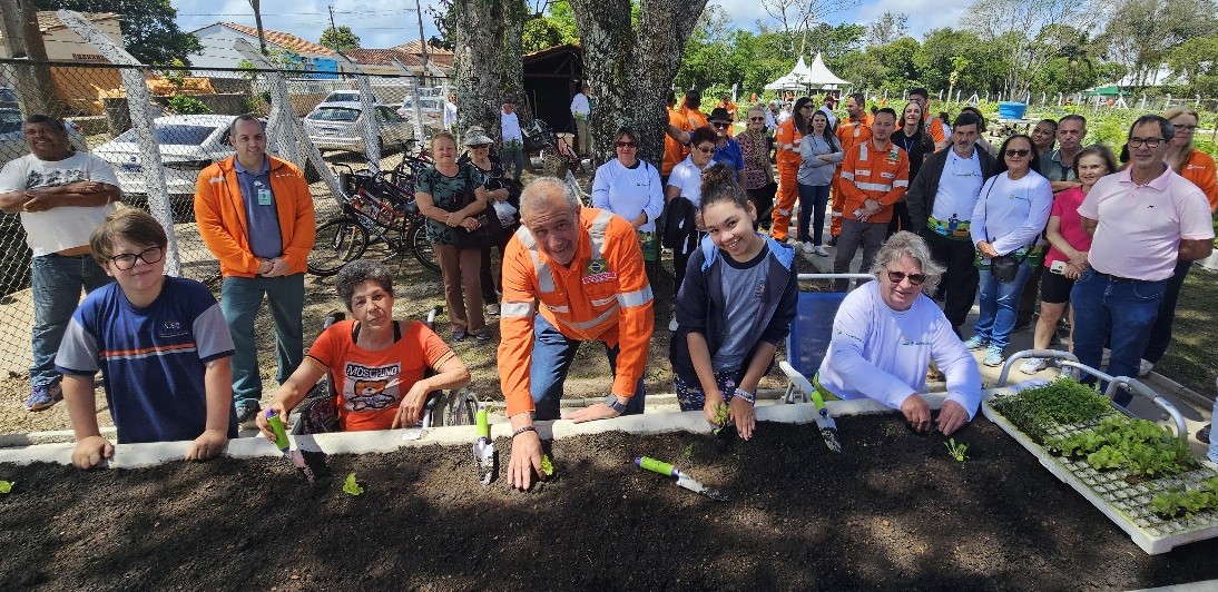 Imagem de capa do carrossel